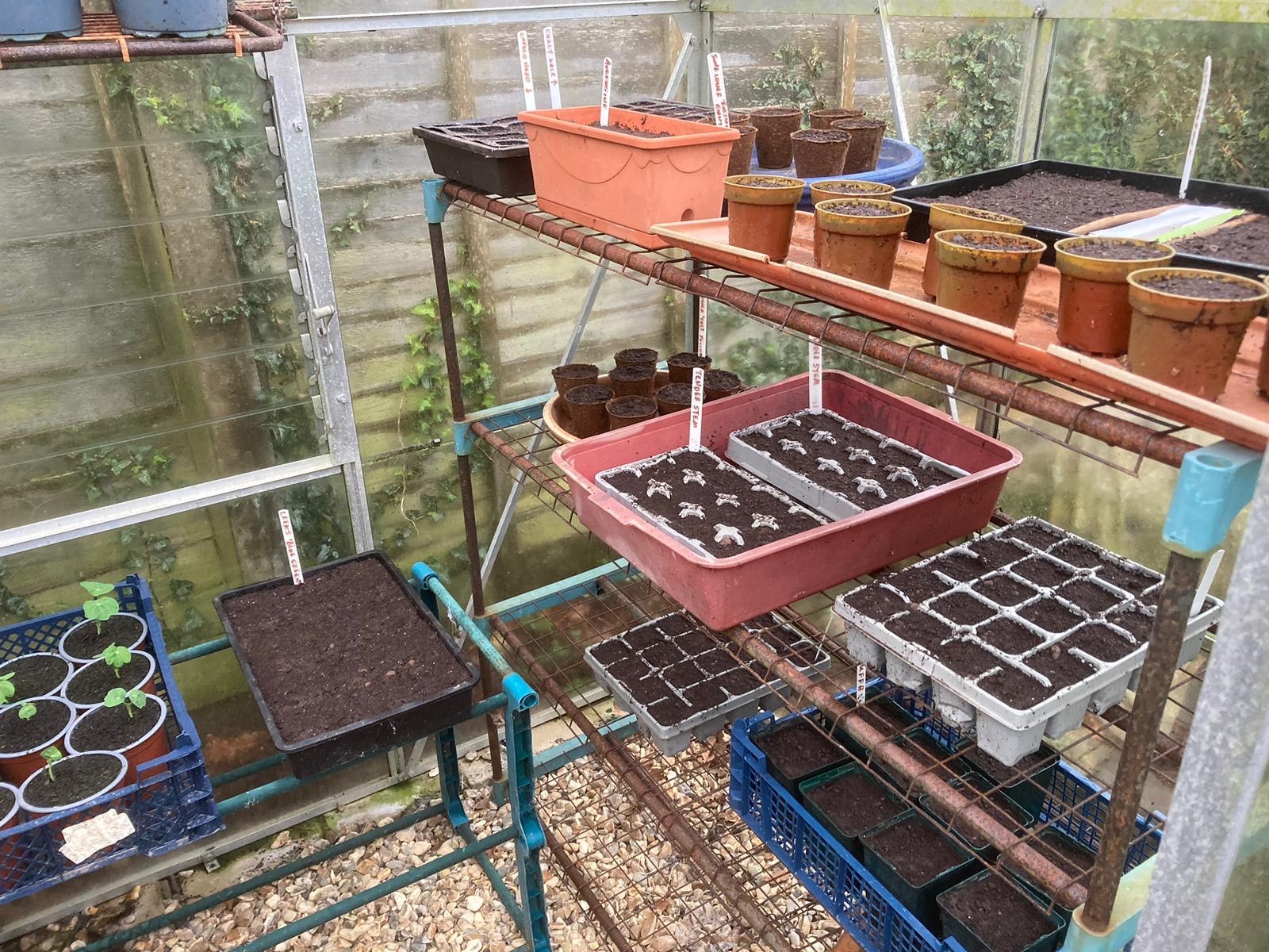 From seed to service – the Potager Garden diary